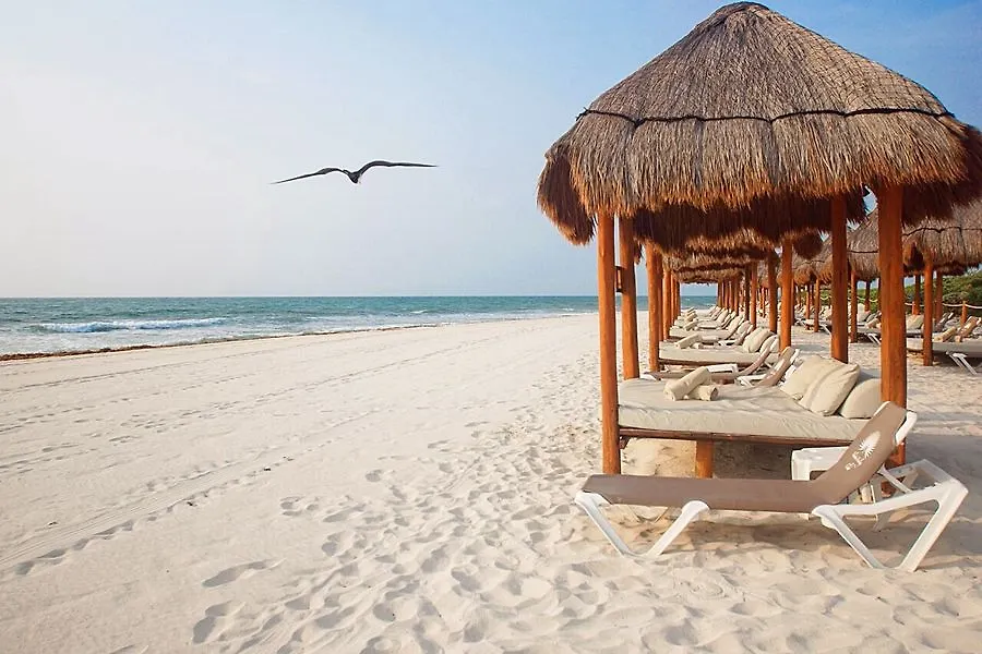 ***** 호텔 Valentin Imperial Riviera Maya Playa Paraiso 멕시코